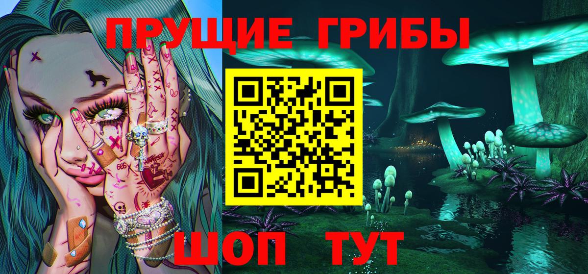 Галлюциногенные грибы Psilocybe Артём