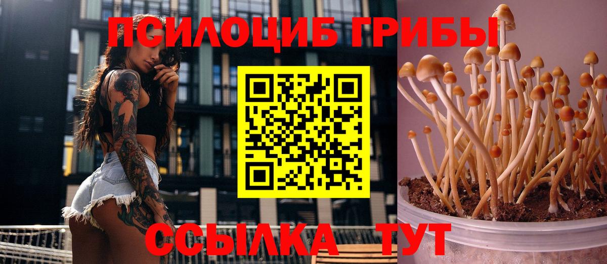 Псилоцибиновые грибы мухоморы  Вход с VPN  магазин    Артём 